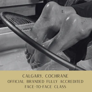 COCHRANE - Official Branded Face-To-Face Japanese Foot Spa Course – Fully Accredited