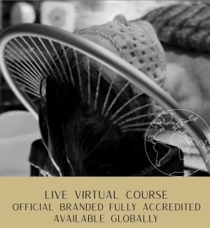 LIVE VIRTUAL COURSE Official Branded VIRTUAL Japanese Head Spa Course - FULLY ACCREDITED