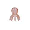 octopus-2