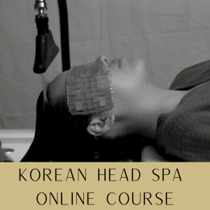 korean head spa online course (2)